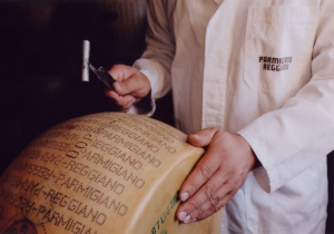 parmigiano-reggiano-espertizzazione1_800x562