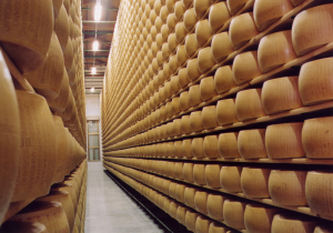 parmigiano-reggiano-forme-in-stagionatura_800x557